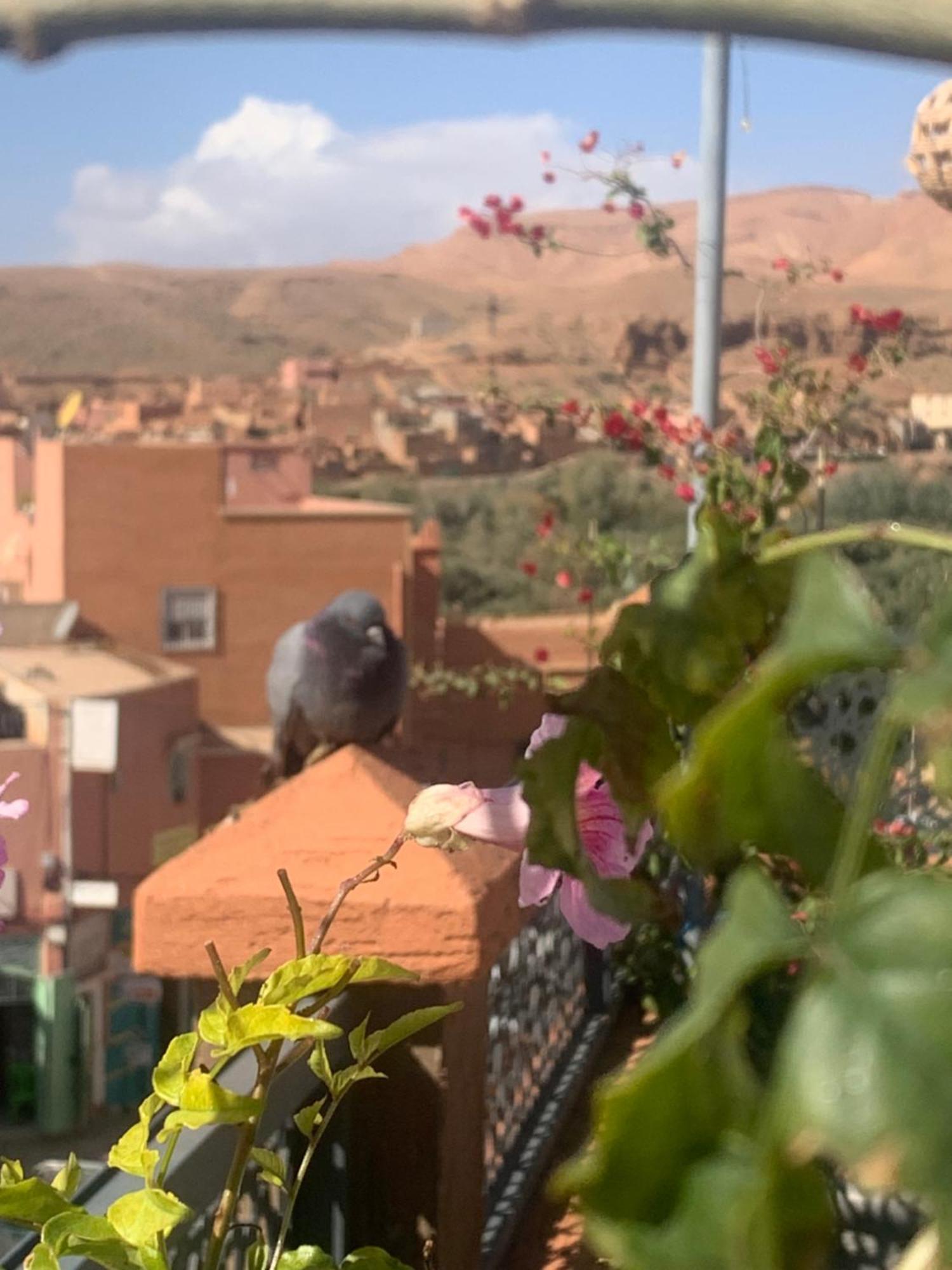 Hotel Riad Atlas Dades Boumalne Exteriör bild
